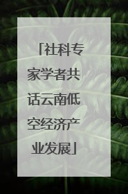 社科专家学者共话云南低空经济产业发展