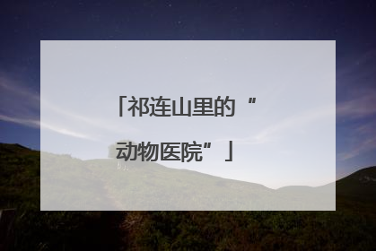 祁连山里的“动物医院”