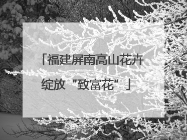 福建屏南高山花卉绽放“致富花”