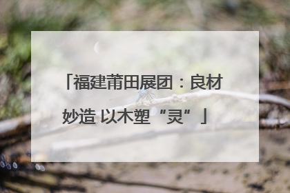 福建莆田展团：良材妙造 以木塑“灵”