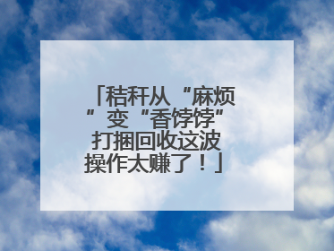 秸秆从“麻烦”变“香饽饽” 打捆回收这波操作太赚了！