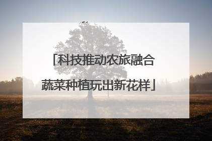 科技推动农旅融合 蔬菜种植玩出新花样