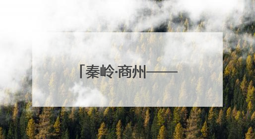 秦岭·商州——山水人文邀天下，商州区委副书记、区长支朝奇推介5个重点招商项目