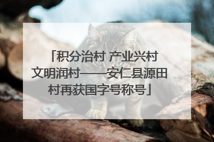 积分治村 产业兴村 文明润村——安仁县源田村再获国字号称号