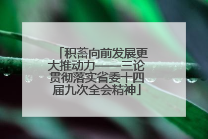 积蓄向前发展更大推动力——三论贯彻落实省委十四届九次全会精神