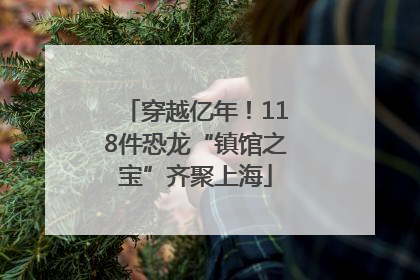 穿越亿年！118件恐龙“镇馆之宝”齐聚上海