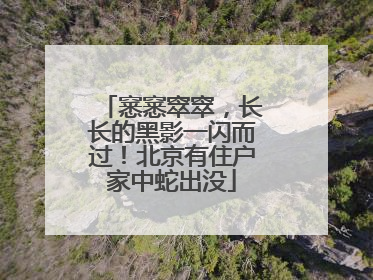窸窸窣窣，长长的黑影一闪而过！北京有住户家中蛇出没