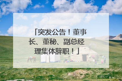 突发公告！董事长、董秘、副总经理集体辞职！