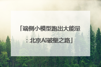 端侧小模型跑出大能量：北京AI破壁之路