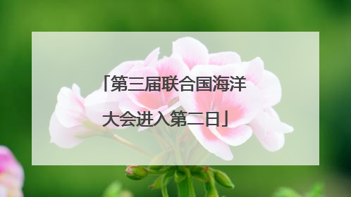 第三届联合国海洋大会进入第二日