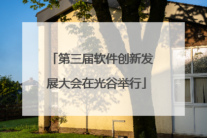 第三届软件创新发展大会在光谷举行