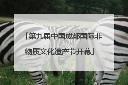 第九届中国成都国际非物质文化遗产节开幕