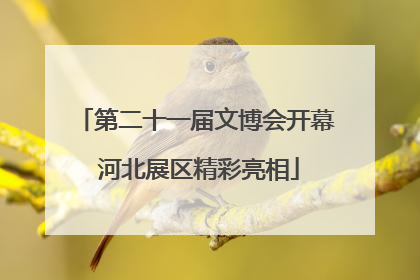 第二十一届文博会开幕 河北展区精彩亮相