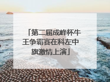 第二届成峰杯牛王争霸赛在科左中旗激情上演