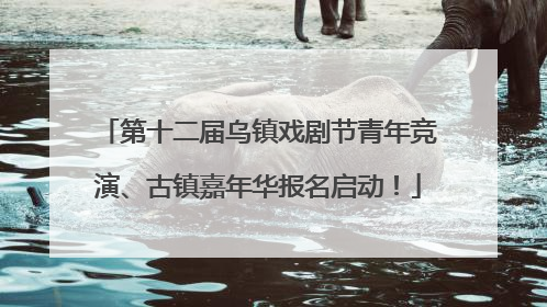 第十二届乌镇戏剧节青年竞演、古镇嘉年华报名启动！