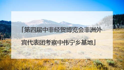 第四届中非经贸博览会非洲外宾代表团考察中伟宁乡基地