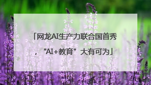 网龙AI生产力联合国首秀，“AI+教育”大有可为