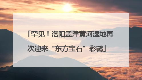 罕见！洛阳孟津黄河湿地再次迎来“东方宝石”彩鹮
