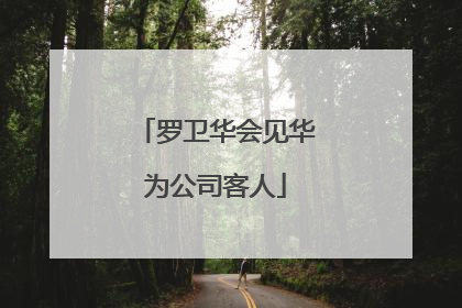 罗卫华会见华为公司客人
