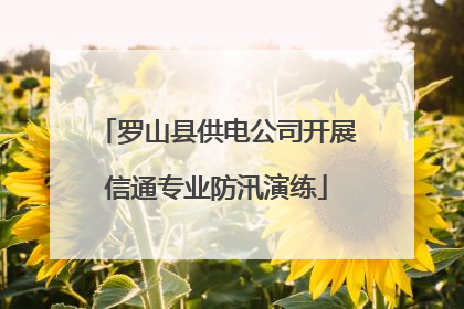 罗山县供电公司开展信通专业防汛演练