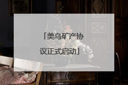 美乌矿产协议正式启动
