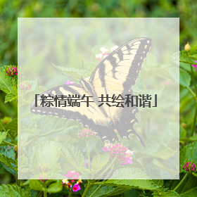 粽情端午 共绘和谐