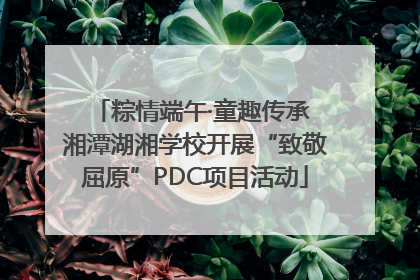 粽情端午·童趣传承 湘潭湖湘学校开展“致敬屈原”PDC项目活动