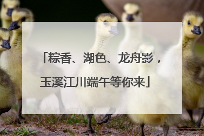 粽香、湖色、龙舟影，玉溪江川端午等你来