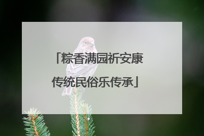 粽香满园祈安康 传统民俗乐传承