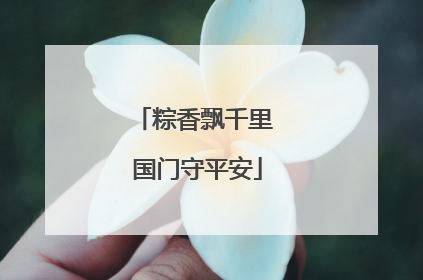粽香飘千里 国门守平安