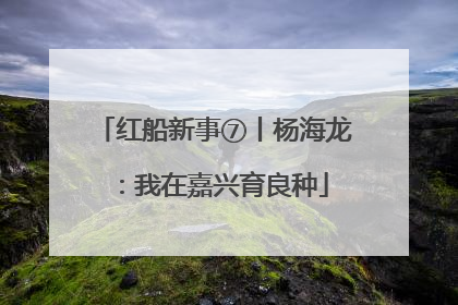 红船新事⑦丨杨海龙：我在嘉兴育良种