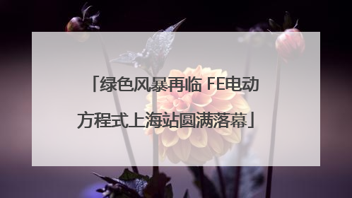 绿色风暴再临 FE电动方程式上海站圆满落幕