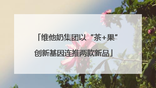 维他奶集团以“茶+果”创新基因连推两款新品