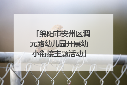 绵阳市安州区调元路幼儿园开展幼小衔接主题活动