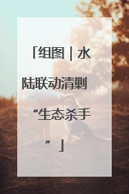 组图｜水陆联动清剿“生态杀手”