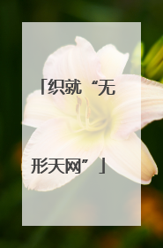 织就“无形天网”