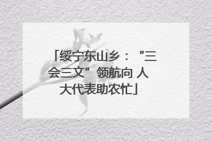 绥宁东山乡：“三会三文”领航向 人大代表助农忙