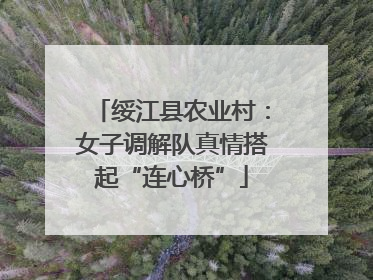 绥江县农业村：女子调解队真情搭起“连心桥”