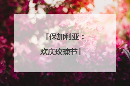 保加利亚：欢庆玫瑰节