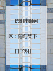 信阳市浉河区：葡萄架下日子甜