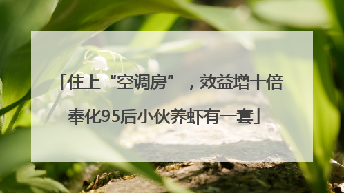 住上“空调房”，效益增十倍 奉化95后小伙养虾有一套