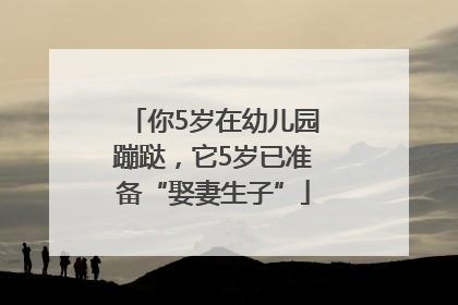 你5岁在幼儿园蹦跶，它5岁已准备“娶妻生子”
