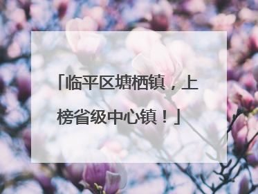 临平区塘栖镇，上榜省级中心镇！