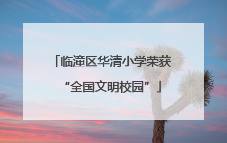 临潼区华清小学荣获“全国文明校园”