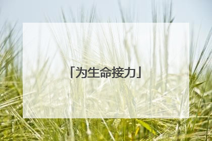 为生命接力