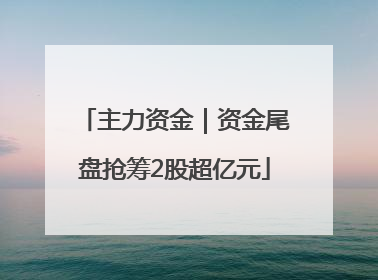 主力资金｜资金尾盘抢筹2股超亿元