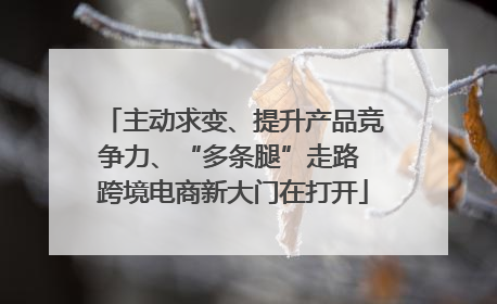 主动求变、提升产品竞争力、“多条腿”走路 跨境电商新大门在打开