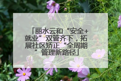 丽水云和“安全+就业”双管齐下，拓展社区矫正“全周期”管理新路径
