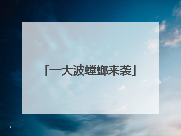 一大波螳螂来袭