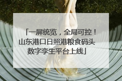 一屏统览，全局可控！山东港口日照港粮食码头数字孪生平台上线
